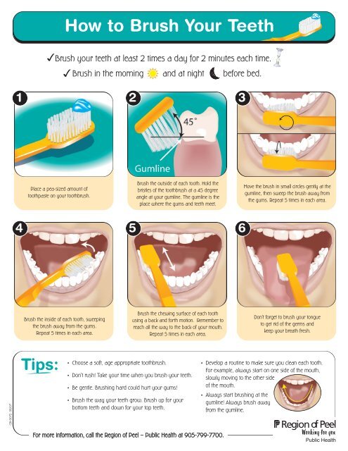 How to Brush Your Teeth - Region of Peel