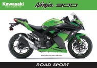 Printable Brochure 2013 Ninja 300