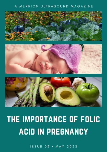 The Importance of Folic Acid in Pregnancy - Includes Recipes-By Merrion Ultrasound