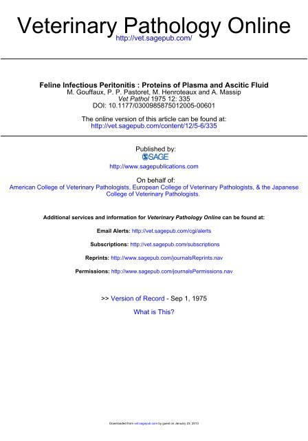 Feline Infectious Peritonitis - Veterinary Pathology