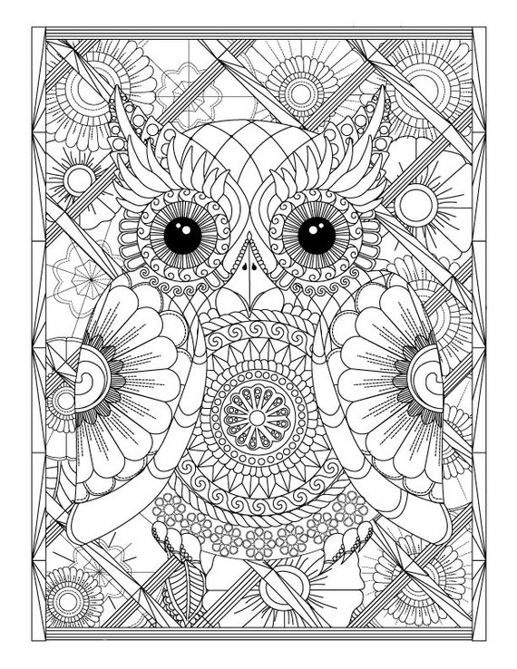 Owl and Flowers Advanced Adult Coloring Page by LeeTowleDesigns