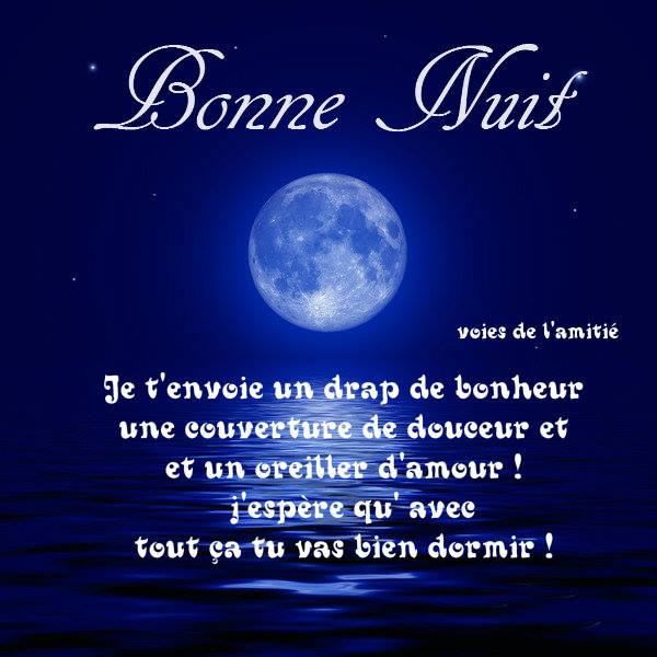 Une pleine lune lumineuse dans un ciel étoilé illustre une douce nuit de souhaits amicaux.