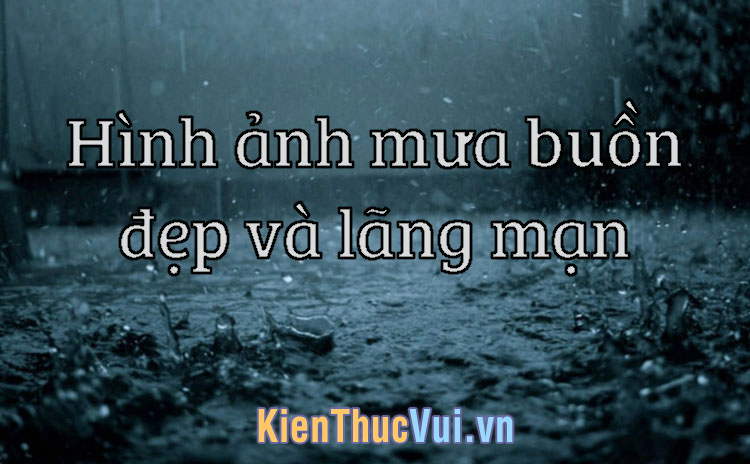 Những hình ảnh mưa buồn đẹp và lãng mạn nhất