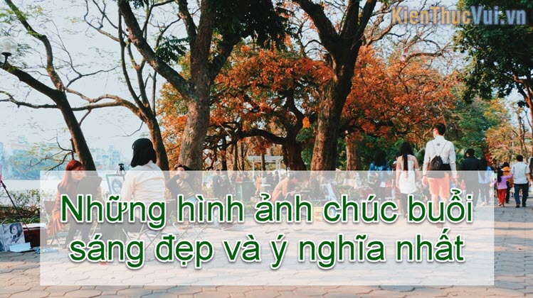 Những hình ảnh chúc buổi sáng đẹp và ý nghĩa nhất