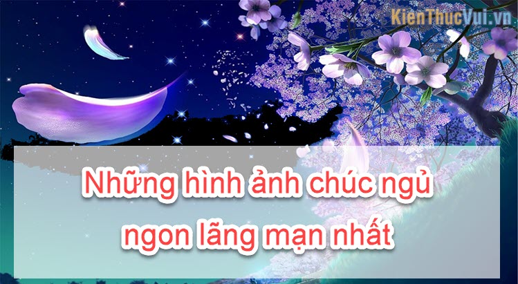 Những hình ảnh chúc ngủ ngon lãng mạn nhất