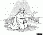 Jesus praying in the Garden of Gethsemane, the apostles have fallen asleep