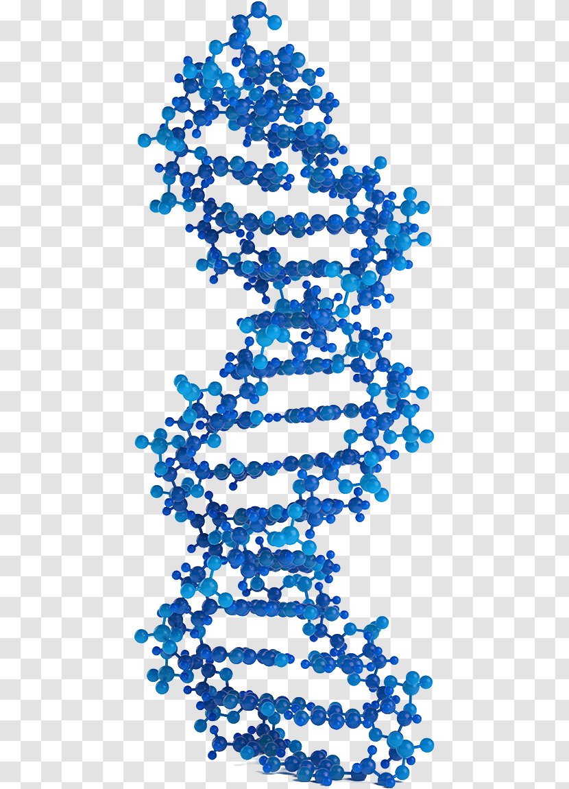 Molecular Models Of DNA Genetics Virus Nucleic Acid Double Helix ...