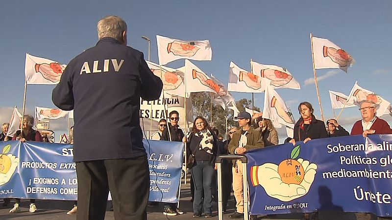 Agricultors valencians protesten contra la importaci� de taronja procedent d'Egipte