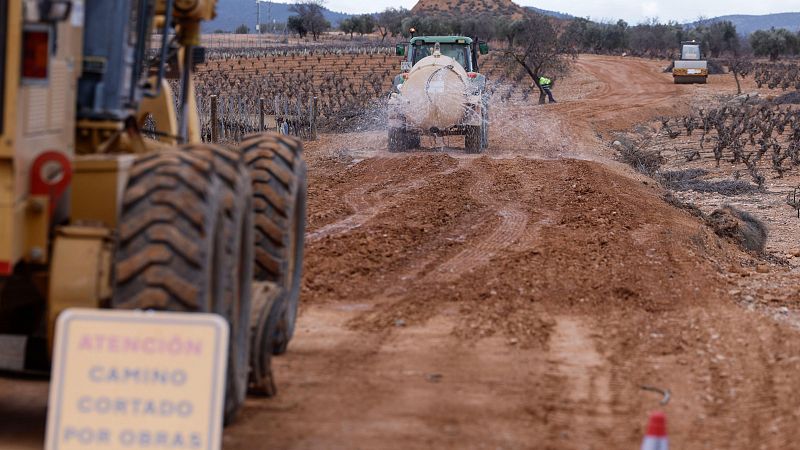 M�s de 3.000 parcelas presentan da�os por la dana y los agricultores temen perder la siguiente cosecha