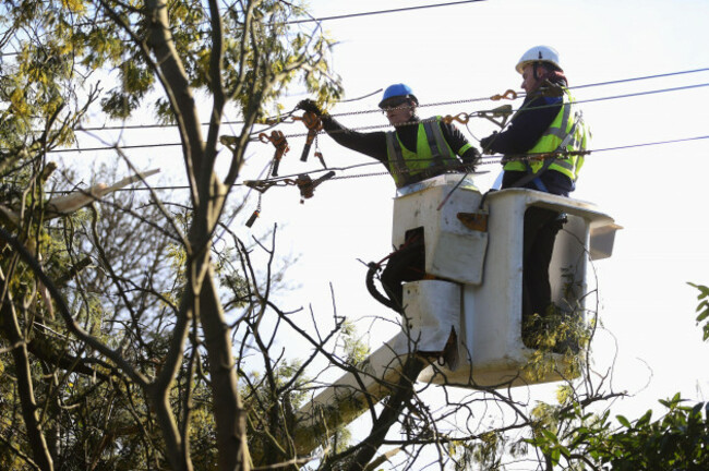 esb-workers-attend-to-power-lines-damaged-by-a-fallen-tree-as-allmost-46000-irish-households-woke-up-to-no-electricity-after-violent-gusts-battered-large-swathes-of-the-country-through-the-night