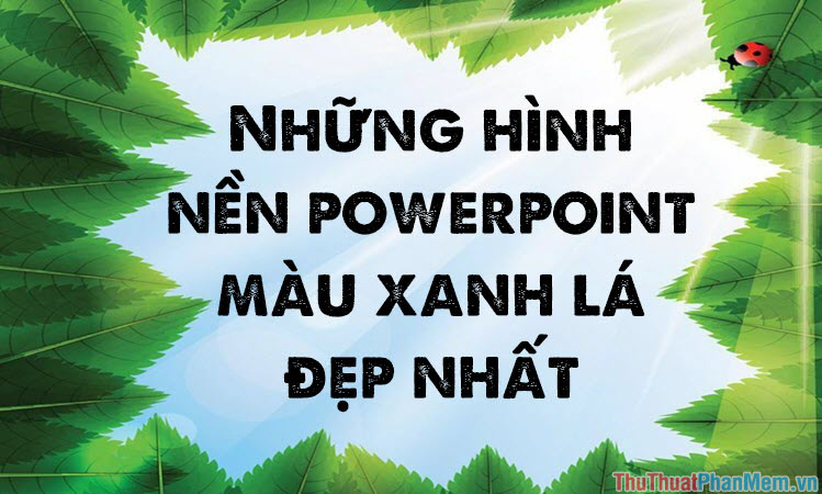 Những hình nền Powerpoint màu xanh lá đẹp nhất