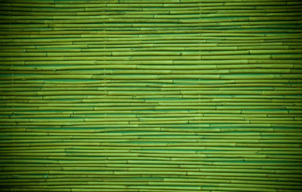 Wallpaper green, wood, pattern, bamboo images for desktop, section текстуры  - download