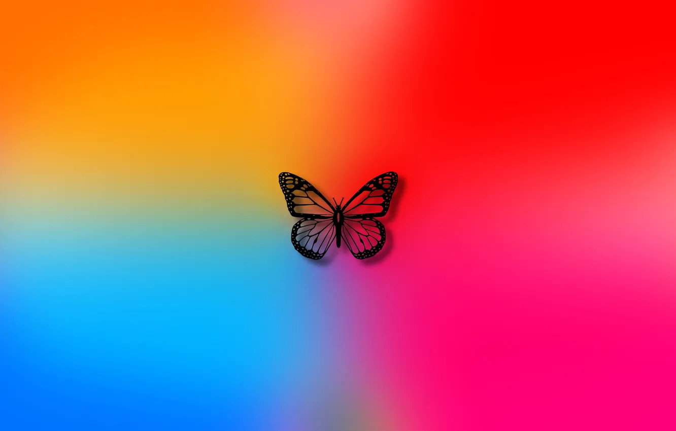 Wallpaper color, background, butterfly, colors, art, wallpaper, butterfly  images for desktop, section абстракции - download