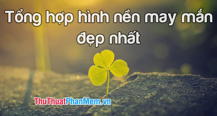 Hình nền may mắn tuyệt đẹp sẽ giúp bạn trang trí màn hình điện thoại của mình một cách đáng kinh ngạc! Với nhiều kiểu dáng và ý nghĩa khác nhau, bạn sẽ không khỏi cảm thấy hào hứng khi chọn được một mẫu hình tuyệt vời cho mình.