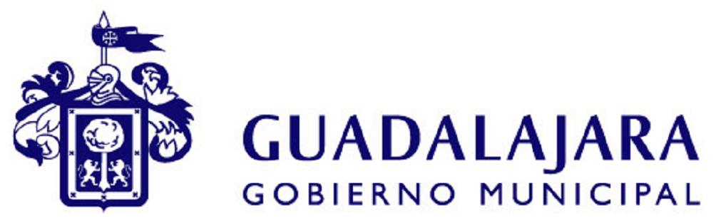 Guadalajara (Government) - Logopedia, the logo and branding site