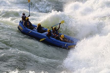 Gorilla Trekking and White Water Rafting Adventure in Uganda