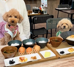 たまごのたまこ 空堀店の特集写真