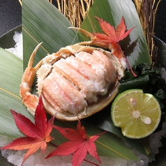 片町居酒屋まごころ 北陸の海鮮と金沢おでんの特集写真