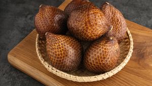 6 Salak Fruit Processions And Recipes, Let's Create Alone At Home