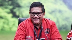 Hasto Affirms President Prabowo's Program In Line With PDIP's Vision: Full Support For Little Wong!