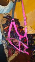 PP Horse Halters pink, size pony cob,full