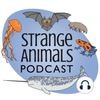 Episode 243: Bats and Rats