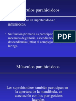 Músculos Parahioideos