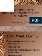 Reconocimiento de Huellas de Mamíferos en Campo