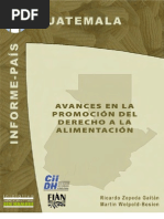 Avances Derecho A La Alimentación Guatemala 2007