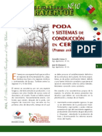 Poda y Sistema de Conducción Del Cerezo