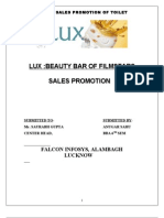 Project On Sales Promotion of LuxANU SaHU