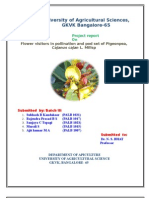 University of Agricultural Sciences, GKVK Bangalore-65: Flower Visitors in Pollination and Pod Set of Pigeonpea