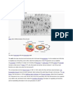 Cell (Biology) : From Wikipedia, The Free Encyclopedia