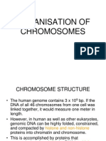 Organisation of Eukaryotic Chromosomes