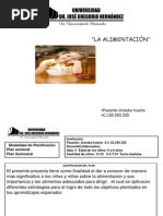 Planificacion Completa Alimentacion