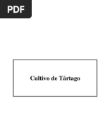 Cultivo de Tártago-1