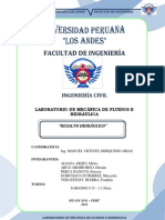 Informe de Lab Fluiods Resalto Hidraulico