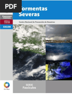 LIBRO Tormentas Severas