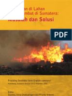 Kebakaran Di Rawa Lahan Atau Gambut Di Sumatra, Masalah Dan Solusi