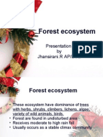 Forest Ecosystem