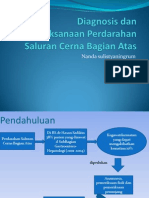 Diagnosis Dan Penatalasanaan Perdarahan SCBA