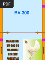 BV 300 Management