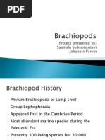 Brachiopods