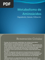 1 MetabolismodeAminoacidos