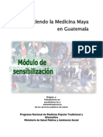 Medicina Maya