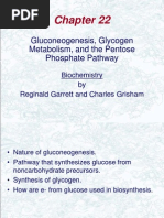 Gluconeogenesis, Glycogen Metabolism