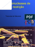 Enzimas de Restrição