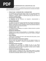 Diccionario Terminologia Gas Natural