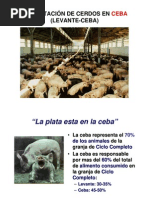 Alimentacion Levante y Ceba Parte 1