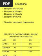 El Caprino Estructura